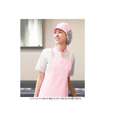 648 白衣 女性 KAZEN カゼン トリコットシャツ 食品 調理師