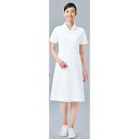 021 ワンピース 半袖 女子白衣 診察着 医療 介護 KAZEN カゼン 薬局衣