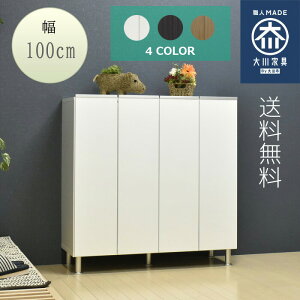 靴箱 シューズボックス 下駄箱 ロータイプ 幅100cm 奥行35cm 高さ101cm 国産 完成品 送料無料 [アーヴァイン 100LO]