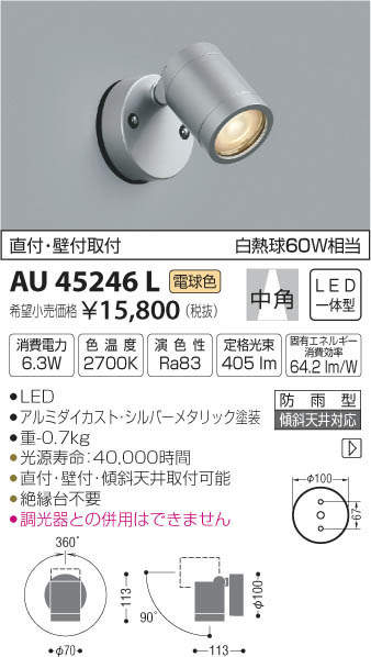 コイズミ照明 KOIZUMI 住宅用 エクステリアライト【AU45246L】[新品]【RCP】