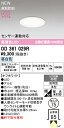 オーデリック エクステリアライト 【OD361029R】【OD 361 029R】(3)
