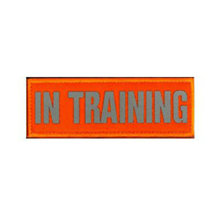 KILONINER TOP ＞ 商品一覧 ＞ パッチ 商品名【KILONINER 】Reflective High Visibility IN TRAINING Patch / Orange 商品説明 Reflective High Visibility IN TRAINING Patch / Orange 裏面は面ファスナーなので、アイロンや穴あけの必要も無く、簡単にハーネスやリードに貼り付けてカスタマイズが楽しめます。 ※洗濯の際はパッチを取り外してください。 サイズ 3.8cm × 11.1cm よくあるご質問 Q. いつ発送されますか？ A. 即日発送(土日祝除く) ＞ 最短翌日お届け Q. 日時指定はできますか？ A. 可能です。決済画面にてご希望の日時をお選びください。 ご注文時の注意事項 ■生産時期や製造ロットにより、色味・質感・仕様・デザイン等に若干の個体差が生じる場合がございますが、品質には問題ございません。あらかじめご了承ください。 ■製品仕様やパッケージは改良のため予告なく変更される場合があります。 ■北海道・沖縄・東北地域は中2日程お届け迄にお時間を要します。その為日時ご指定いただきました場合もご希望に添えない場合がございます。また、配送業者様の運行状況や天候によりお届け日が前後する可能性がございます。予めご了承くださいませ。 ■当サイトでは複数店舗で在庫を共有しているため、タイミングにより在庫数にずれが生じる場合がございます。 ご注文時にサイトにて在庫があった場合でも僅差により商品が欠品となる場合もございます。 その場合は、ご注文確認後に当店より欠品の旨ご連絡させていただきます。大変ご迷惑をお掛けいたしますが、あらかじめご了承いただけますようお願いいたします。 ■環境に配慮し、当店では簡易包装にてお届けいたします。 ■洗濯方法については、洗濯表示タグをご確認ください。 ■返品・交換・修理について [必読] ご注文に関する注意事項 ＞KILONINER TOP ＞ 商品一覧 ＞ パッチ