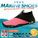 ＼10％OFFクーポン／ 楽天1位 マリン