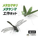 オニヤンマ メタルオニヤンマ メタルカマキリ 工作キット 組立式 カマキリ フィギュア 昆虫 TOBAU トバウ おにやんま 蜻蛉 とんぼ トンボ アウトドア 玄関 11cm級 ステンレス 工作 リアル 子供教材 子供 こども 金属【30日保証】