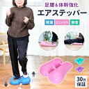 エアーステッパー 高齢者 フィットネス 歩行力 ダイエット 静音 バランスディスク バランスボール マルチフィットネス エアステッパー エアークッション 有酸素...