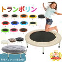 ★楽天1位受賞★トランポリン 家庭用 30日保証 耐荷重115kg 102cm 子供用 ゴム スポーツ カバー マット 大人用 折りたたみ式 室内 おもちゃ 子ども 小学生 男の子 女の子 3歳 ホワイトデー お返し