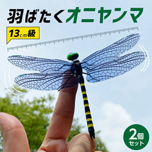 オニヤンマ メタルオニヤンマ メタルカマキリ 工作キット 組立式 カマキリ フィギュア 昆虫 TOBAU トバウ おにやんま 蜻蛉 とんぼ トンボ アウトドア 玄関 11cm級 ステンレス 工作 リアル 子供教材 子供 こども 金属【30日保証】