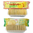 ダイエット食品 ダイエットクッキーお買い得セット！うの花クッキー1箱＋ブランクッキー1箱　合計480枚入り！