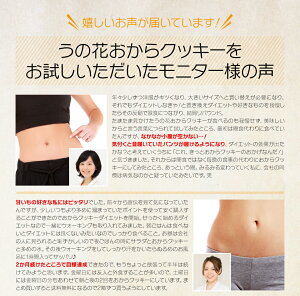 ダイエットクッキーおからクッキー【初回限定お試しセット】うの花クッキー1箱(20枚×5袋100枚入)【送料無料・代引き無料】楽天最安値挑戦中楽天ランキング1位受賞レビュー件数2,000件突破!ダイエット食品置き換え