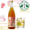 マラソン限定【最大10%OFFクーポン配布中】5月9日20:00〜16日1:59【公式】無添加 まさひろ梅酒 うますぎる梅酒 12度 1800ml まさひろ酒造...
