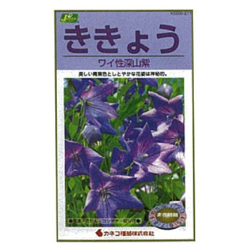 カネコ種苗 園芸・種 KS200シリーズ ききょう ワイ性深山紫 草花200 211