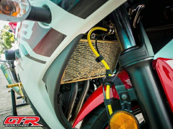 ヤマハ YZF-R25 SPEEDY ラジエーター ガード 2色 4409154365