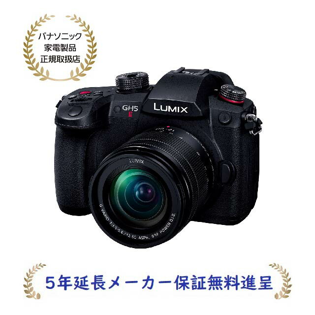 パナソニック DC-GH5M2M [5年延長メーカー保証無料進呈]ミラーレスデジタル一眼カメラ/レンズキット