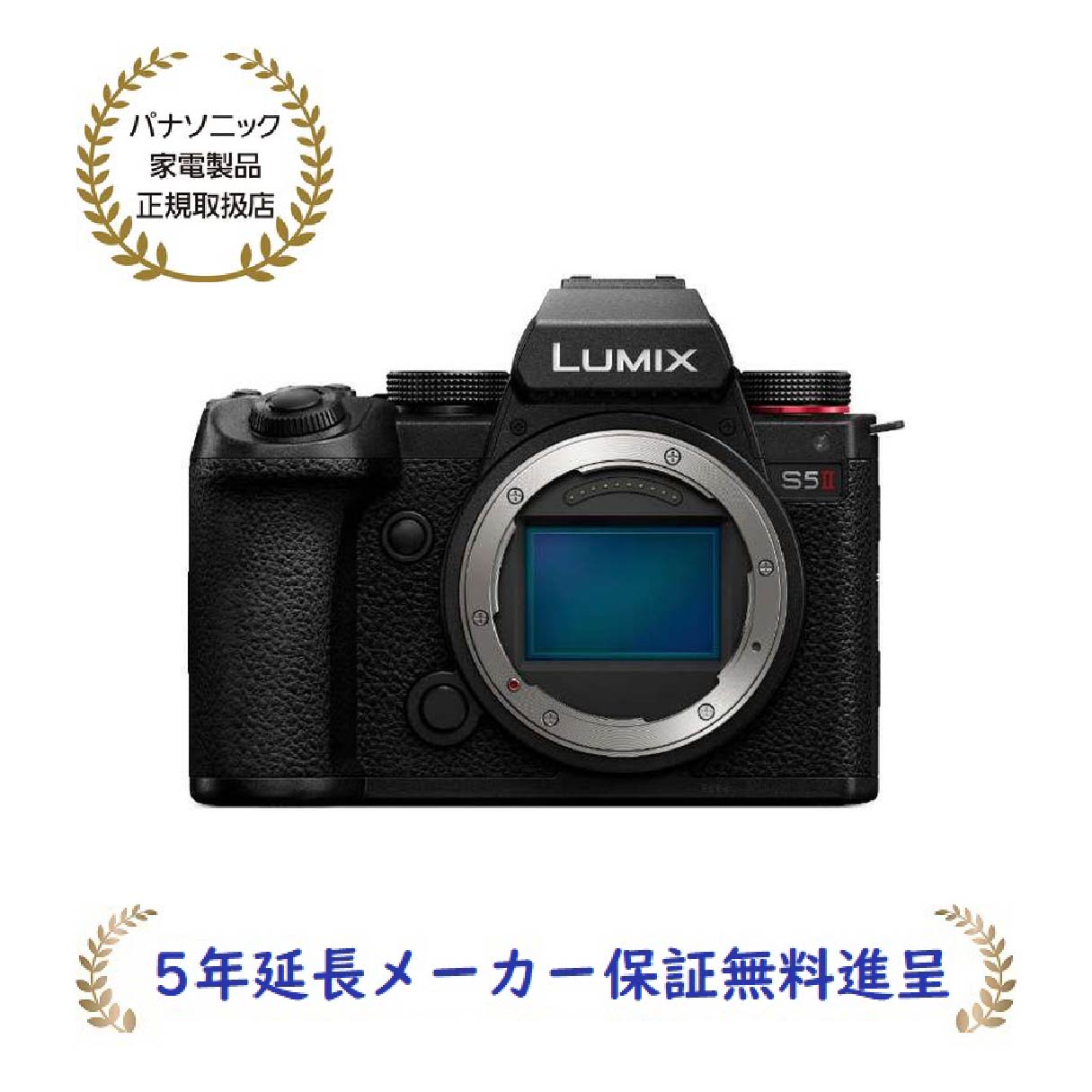 パナソニック DC-S5M2[5年延長メーカー保証無料進呈](DCS5M2) LUMIX ボディ