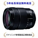 pi\jbN S-R28200y5NۏؖizLUMIX fW^JpY