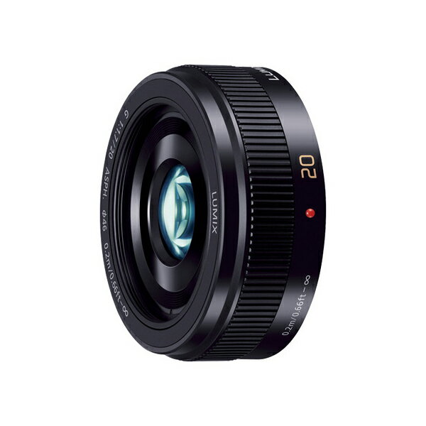パナソニック H-H020A-K LUMIX デジタル一眼カメラ用交換レンズ
