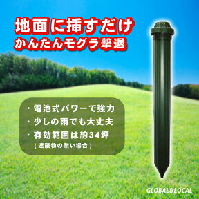 さよならモグラ！あす楽【強力 超音波モグラ撃退器 SK-0919】強力電池タイプ　もぐら駆除　もぐら退治