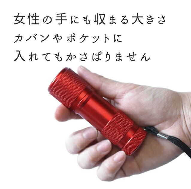 定型外で送料無料(あす楽・代引き\600~)【4カラー・自転車用LEDライトセット】ライトホルダー9LED4カラー通販格安セール情報 楽天 通販