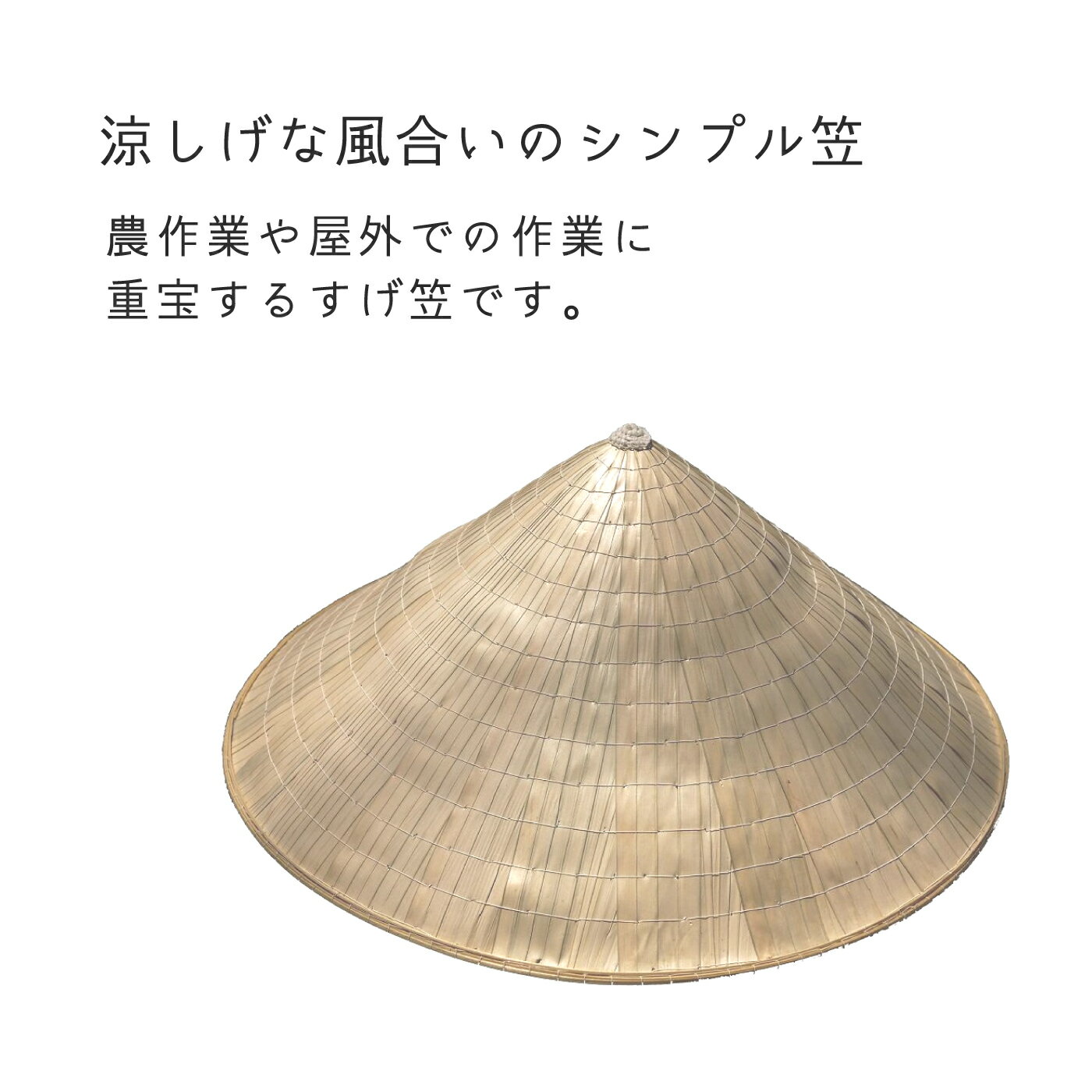 あす楽【三角型すげ笠・41cm】 2