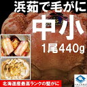 毛ガニ 毛がに 毛蟹 北海道産 浜茹で毛ガニ 1杯約440g 中小サイズ 最上級品 堅ガニ ギフト 条件付き送料無料 お取り寄せ 2024年物
