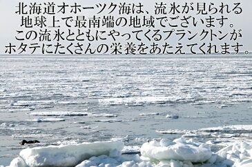 ホタテ ほたて 帆立 ホタテ貝柱 北海道産 化粧箱なし お刺身用 1kg 10パック入り 1kgに81-100粒入 6Sサイズ 条件付き送料無料 ギフト