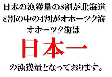 ホタテ ほたて 帆立 ホタテ貝柱 北海道産 化粧箱なし お刺身用 1kg 10パック入り 1kgに81-100粒入 6Sサイズ 条件付き送料無料 ギフト