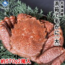 【2024年物値下げしました】毛ガニ 毛がに 毛蟹 北海道産 浜茹で毛ガニ 1杯約570g 2杯入 大サイズ 最上級品 堅ガニ ギフト 2024年物 条件付き送...