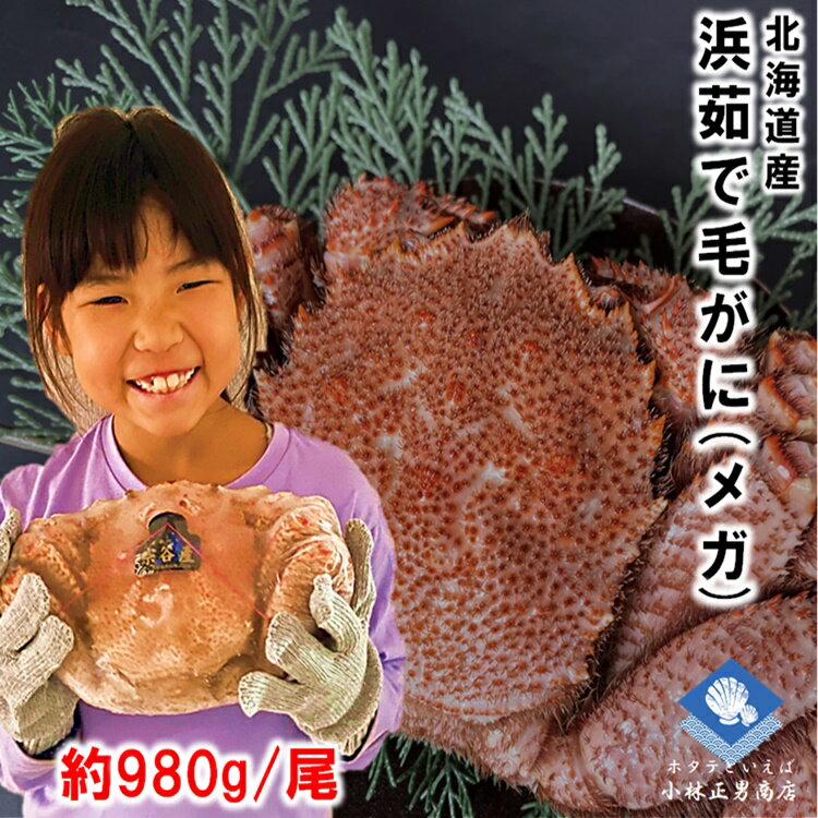 毛ガニ 【2024年物入荷】毛ガニ 毛がに 毛蟹 北海道産 浜茹で毛ガニ 1杯約980g メガサイズ 最上級品 堅ガニ ギフト 条件付き送料無料 2024年物