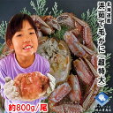 【2025年新物入荷】毛ガニ 毛がに 毛蟹 北海道産 浜茹で毛ガニ 1杯約800g 超特大サイズ 最上級品 堅ガニ ギフト 2025年物 父の日 titinoh...