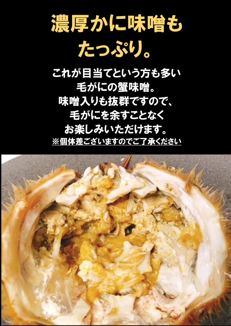【訳あり】北海道産 浜茹で毛がに 2尾入（総重量約0.8kg/小サイズ）甲羅にヒビあり｜味良し｜濃厚かに味噌｜送料無料 masaoshoten-10000241 北海道産ホタテ専門店小林正男商店 サンプル画像3
