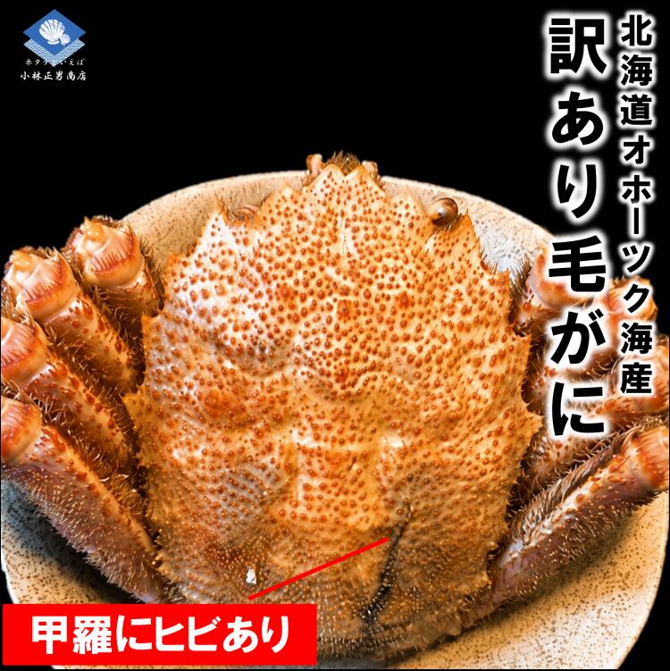【訳あり】北海道産 浜茹で毛がに 2尾入（総重量約0.8kg/小サイズ）甲羅にヒビあり｜味良し｜濃厚かに味噌｜送料無料 masaoshoten-10000241 北海道産ホタテ専門店小林正男商店 パッケージ画像