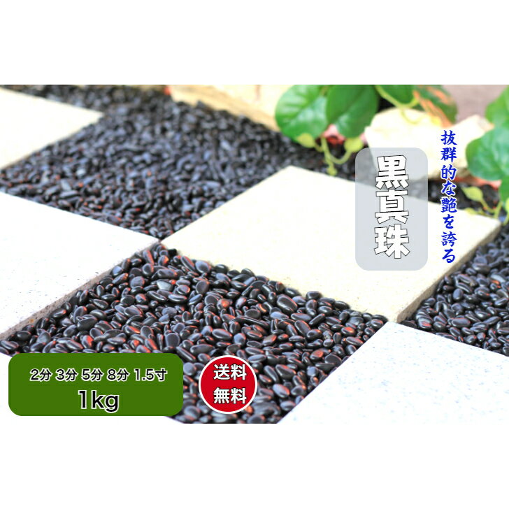 黒玉石 1kg 庭石 最高級　(黒真珠)　黒玉砂利 磨き 光沢 砂利 庭 黒玉石 砂利石 高級 黒玉砂利 黒玉 那..