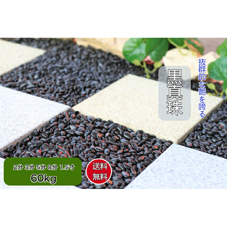 黒玉砂利 庭石 60kg 最高級 黒真珠 黒玉石 磨き 光沢 砂利 庭 黒玉石 砂利石 高級 黒玉砂利 黒玉 那智..