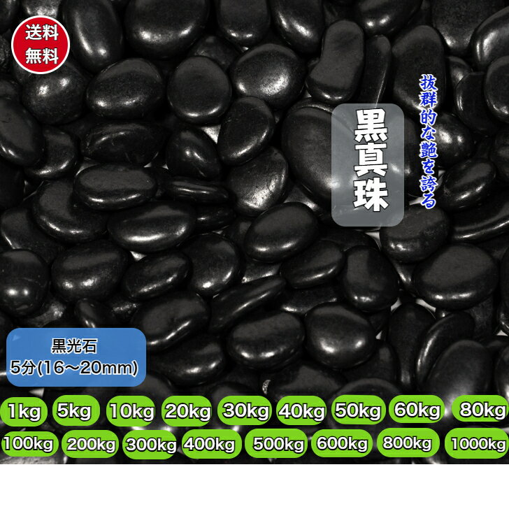 黒玉石 庭石 5分(16～20mm) 最高級　(黒真珠)　黒玉砂利 磨き 光沢 砂利 庭 黒玉石 砂利石 高級 黒玉砂..