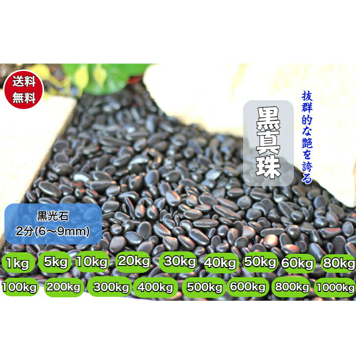 黒玉石 庭石 2分(6～9mm) 庭園最高級 最高級 (黒真珠)　黒玉砂利 磨き 光沢 砂利 庭 黒玉石 砂利石 高..