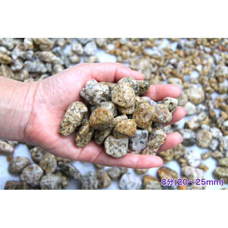 ���� �̺��� �������� 8ʬ(22��28mm�ˡ� ���� ���������������� ���� ���� ���� �����ǥ˥�