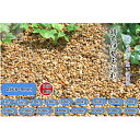 庭石 玉砂利 錆色玉石 2分(6~9mm)特選 和風伊勢ゴロタ石 和風 お庭 外構 ガーデニング