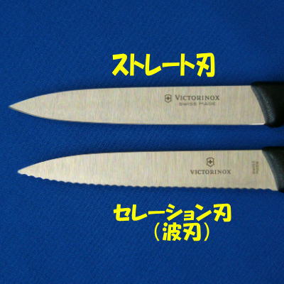 VICTORINOX(ビクトリノックス)果物ナイフ 100mm ポリプロピレン50703/50733【VICTORINOX(ビクトリノックス)】通販格安セール情報 楽天 通販