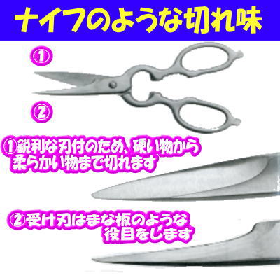 キヨツナ シェフ・キッチン (キッチンハサミ)【シェフキッチン】通販格安セール情報 楽天 通販