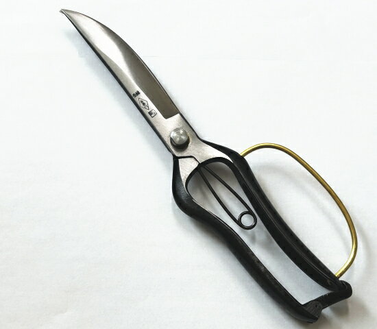 Ҽ괢270mm ҿ ֲסʤŤޤ