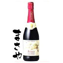 サンテロ 天使のロッソ 750ml 正規 代引き不可 JANコード4997678507893
