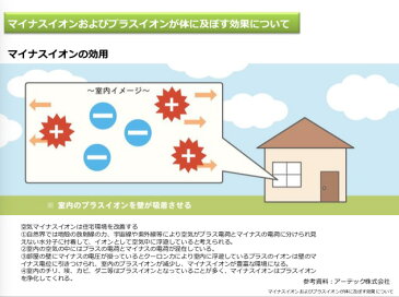 携帯式 エアーモンスター Air Monster 携帯用空気清浄機 小型 軽量 ウイルス 除去 清浄 花粉症 マイナスイオン発生器 花粉対策 日本製