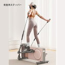 ステッパー × ミニバイク エアロバイク 電源不要静音 ウォーキング 有酸素運動 トレッドミル 運動 室内 エクササイズ フィットネス