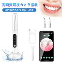 【短納期】超音波 歯クリーナー 可視カメラ 口腔洗浄器 USB充電式 LEDライト 5モード調節可能 家庭用 自宅 男女兼用 携帯便利 軽量 プレゼント