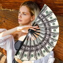 扇子 せんす ドル 紙幣 お札 おもしろ お金持ち 男性用 女性用 男女兼用 レディース メンズ 大きめ カンフー扇子 花火大会 納涼 軽量 アウトドア