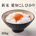 【愛知こしひかり】 【6年産】 玄米30kg 白米27kg 米 お米 玄米 白米 コシヒカリ こしひかり 送料無料 国産 お米30キロ 米30キロ 30kg 3...