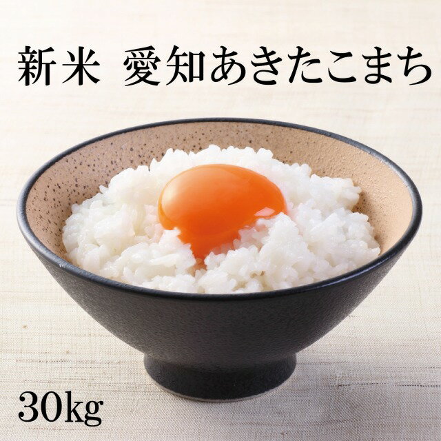 新米 米 愛知あきたこまち 【4年産】 玄米30kg 白米27kg お米 あきたこまち 秋田小町 送料無料 玄米 白米 国産 日本米 ごはん 美味しい 米30キロ 備蓄米 非常用のサムネイル