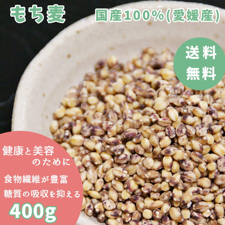 もち麦 400g 送料無料 国産 愛媛産 大麦 ...の商品画像