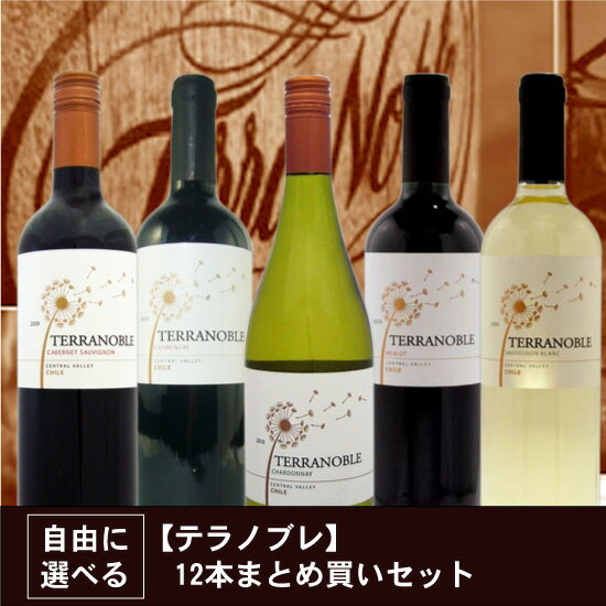 テラノブレ / 12本まとめ買いセット 《送料無料》