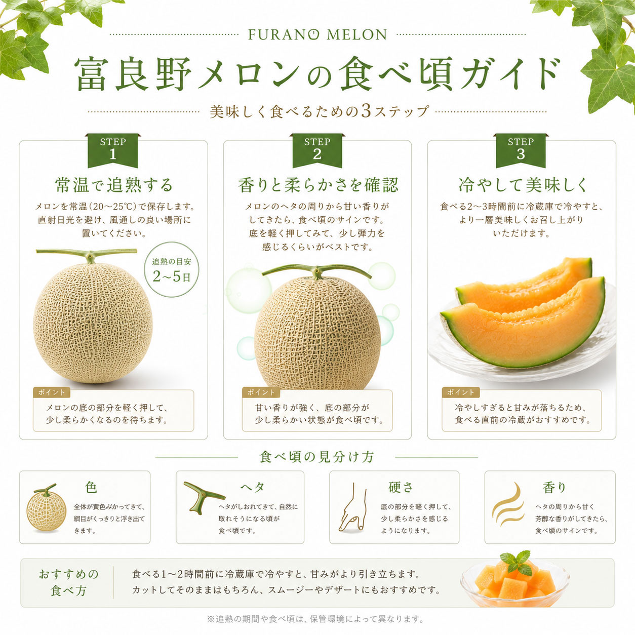 予約販売 7/下旬〜8/上旬お届け予定 果物 北海道富良野メロン 太陽の女神 1玉 産地...